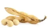 NeuroXen Ingredient